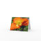 California Poppy Greeting Card