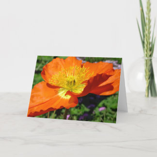 California Poppy Greeting Card