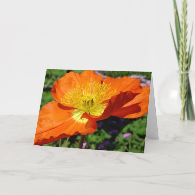 California Poppy Greeting Card (Front)