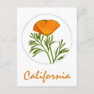 California Poppy in a Circle, "California" Text Postcard