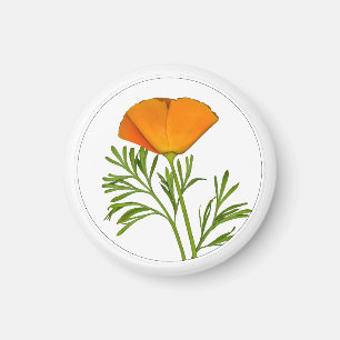 California Poppy in a Circle - Magnet