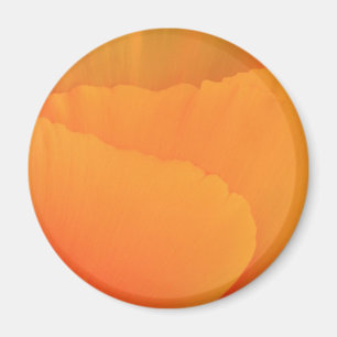 California Poppy Magnet