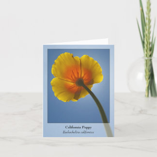 California Poppy - Native Notecard