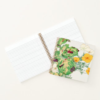 California poppy notebook