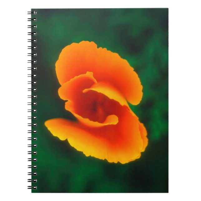 California Poppy Notebook (Front)