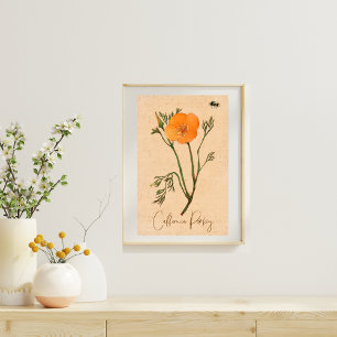 California Poppy Orange Botanical Wildflower Poster