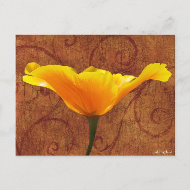 California Poppy Postcard (Front)