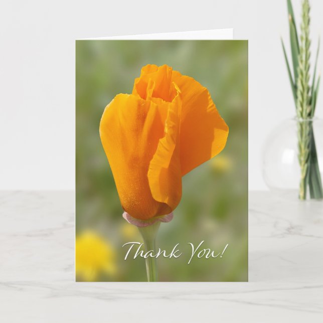 California Poppy Thank You Card (Front)