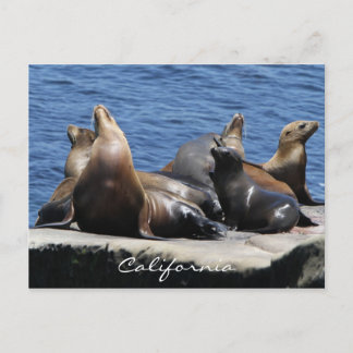 California Postcard