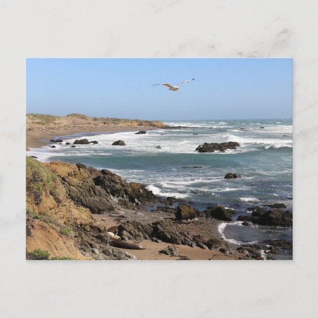 California Postcard (Front)