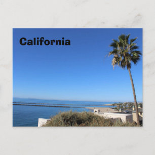 California Postcard Beach Trip Souvenir Pacific