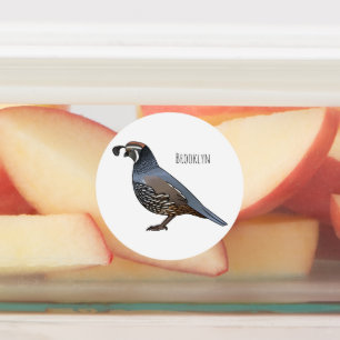 California quail bird cartoon illustration