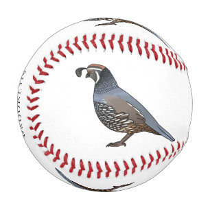 California quail bird cartoon illustration baseball