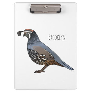 California quail bird cartoon illustration clipboard