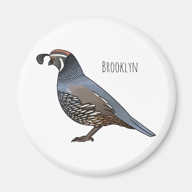 California quail bird cartoon illustration  magnet (Front)