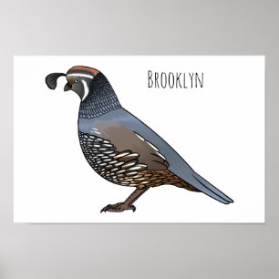 California quail bird cartoon illustration poster