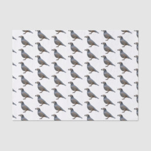 California quail bird cartoon illustration tissue paper