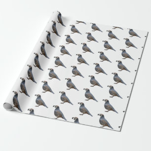 California quail bird cartoon illustration wrapping paper