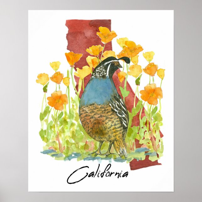 California Quail Bird Poppies State Shape Poster (Front)