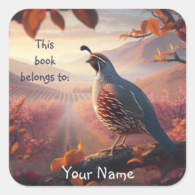California Quail Birds This book belongs Bookplate Square Sticker (Front)