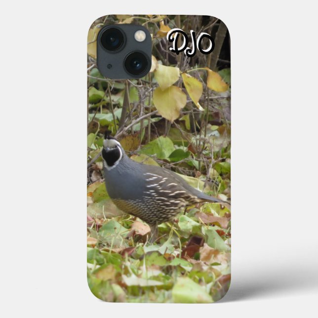 California Quail Case-Mate iPhone Case (Back)