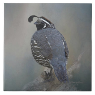 California Quail Ceramic Tile