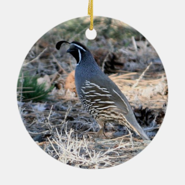 California Quail Ceramic Tree Decoration (Back)