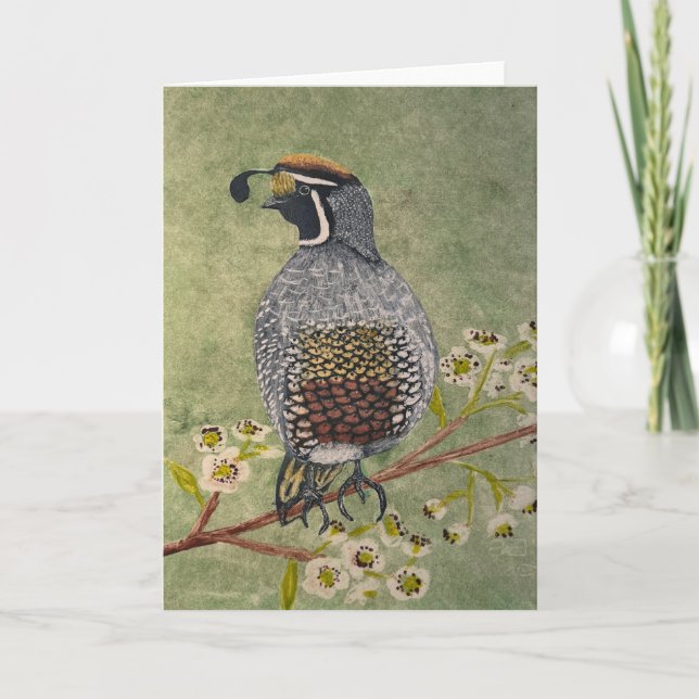 California Quail Folded Note Card (Front)