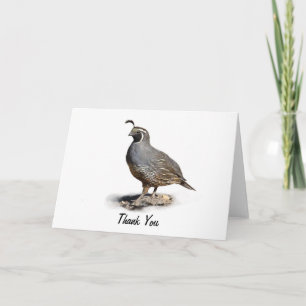 CALIFORNIA QUAIL - THANK YOU CARD