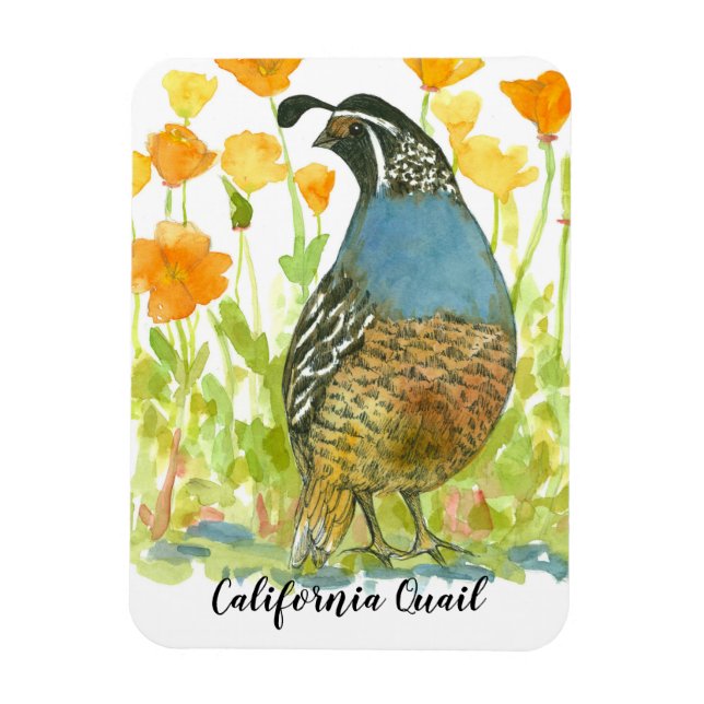 California Quail Watercolor Poppies Painting Magnet (Vertical)
