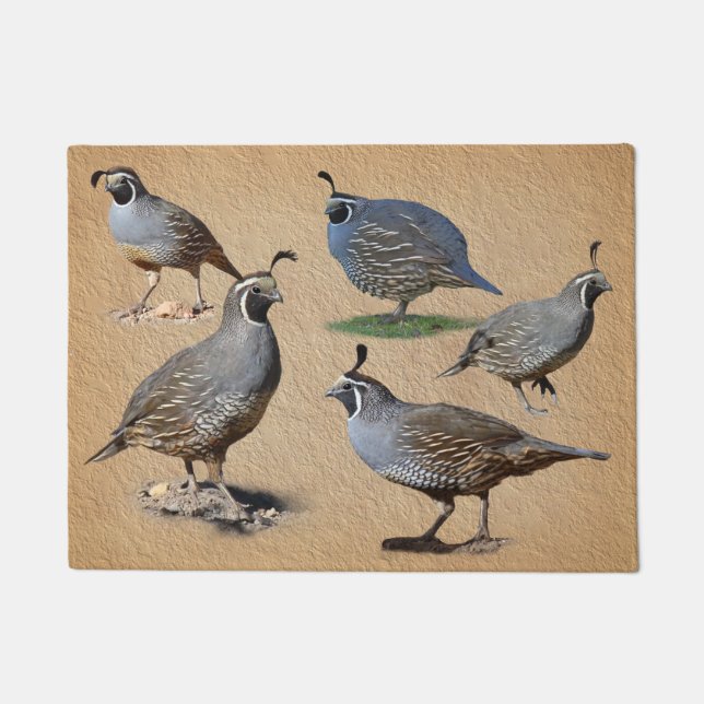 CALIFORNIA QUAILS DOORMAT (Front)