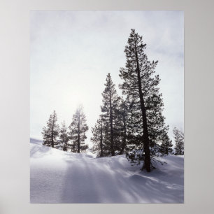 California, Rancho Cuyamaca State Park Poster