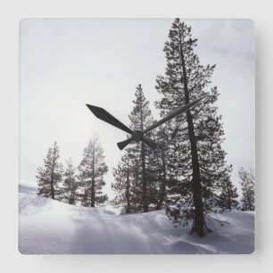 California, Rancho Cuyamaca State Park Square Wall Clock