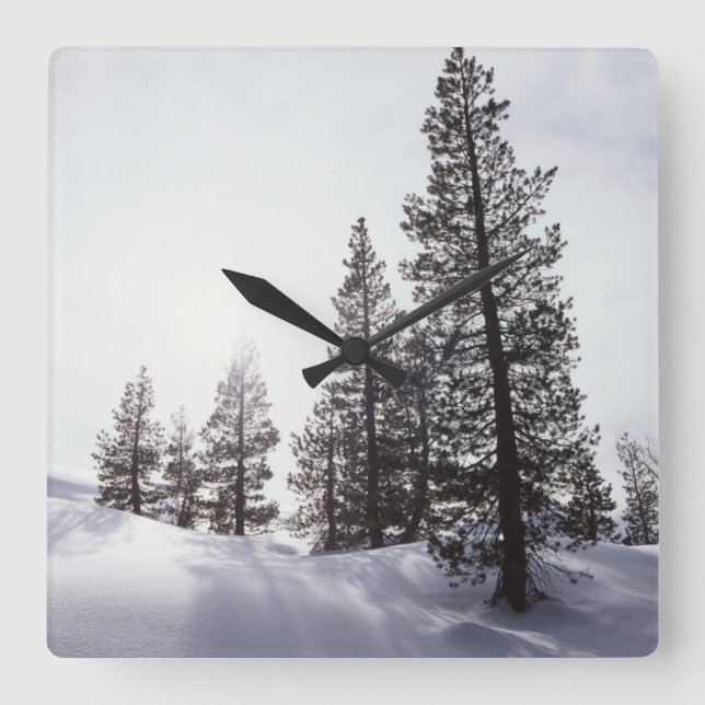 California, Rancho Cuyamaca State Park Square Wall Clock (Front)