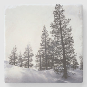California, Rancho Cuyamaca State Park Stone Coaster
