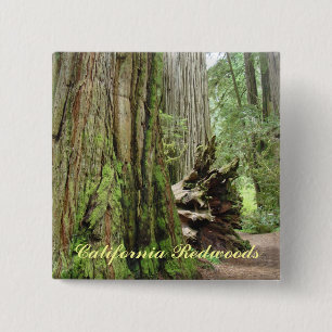 California Redwood buttons custom Big Redwoods