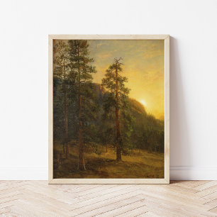 California Redwoods Albert Bierstadt Poster