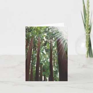 "California Redwoods" Card from Canvas Justice