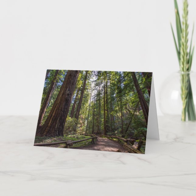 California Redwoods Greeting card (Front)