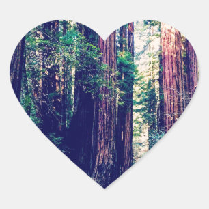 California Redwoods Heart Sticker