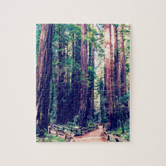 California Redwoods Jigsaw Puzzle