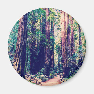 California Redwoods Magnet