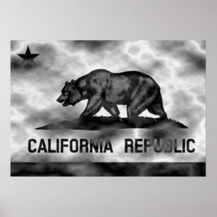 California Republic Flag Plasma Poster