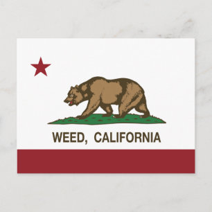 California Republic Flag Weed Postcard