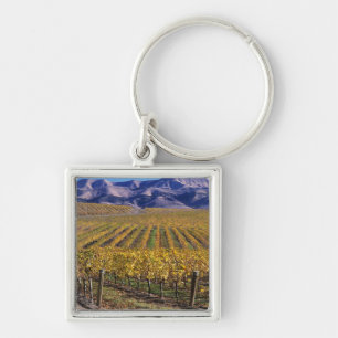 California, San Luis Obispo County, Edna Valley Key Ring