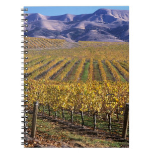 California, San Luis Obispo County, Edna Valley Notebook