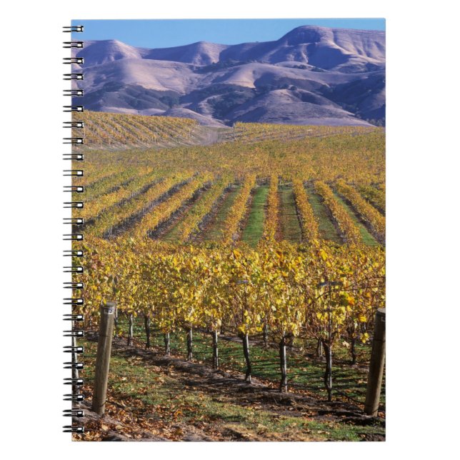 California, San Luis Obispo County, Edna Valley Notebook (Front)