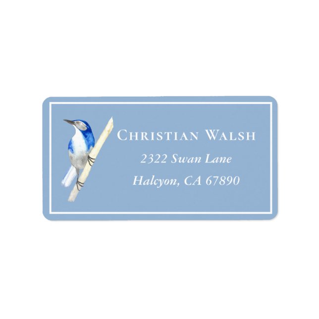 California Scrub Jay Label (Front)