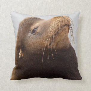 California Sea Lion Cushion