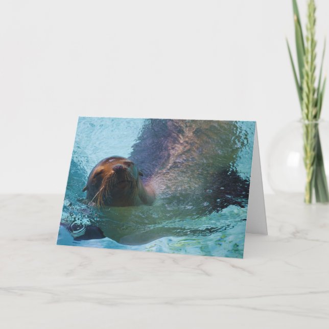 California Sea Lion Holiday Card (Front)